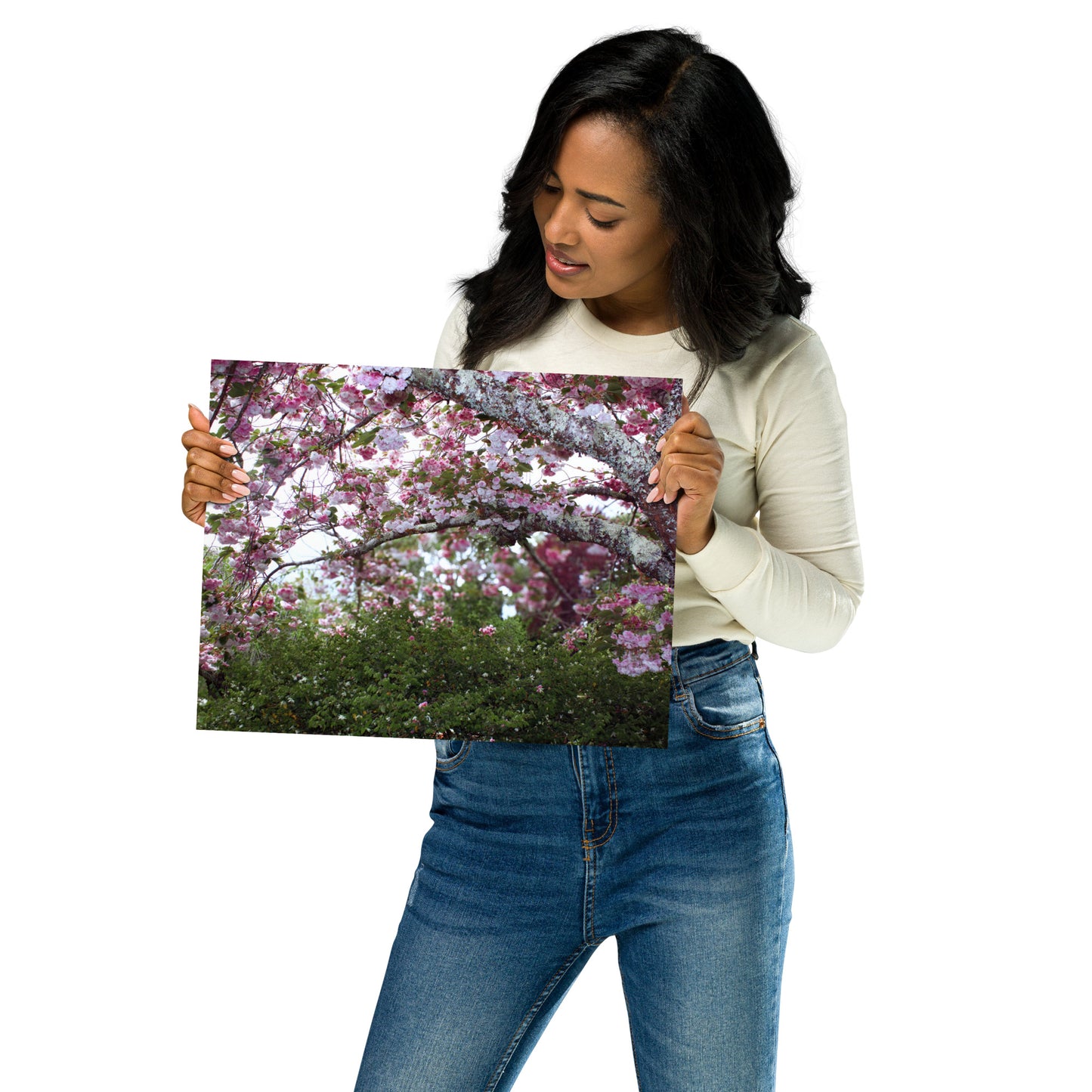 Japanese Cherry Matte Paper Poster