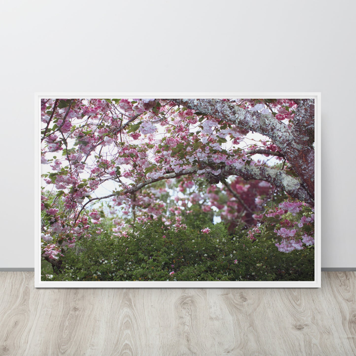 Japanese Cherry Framed Photography Canvas Print