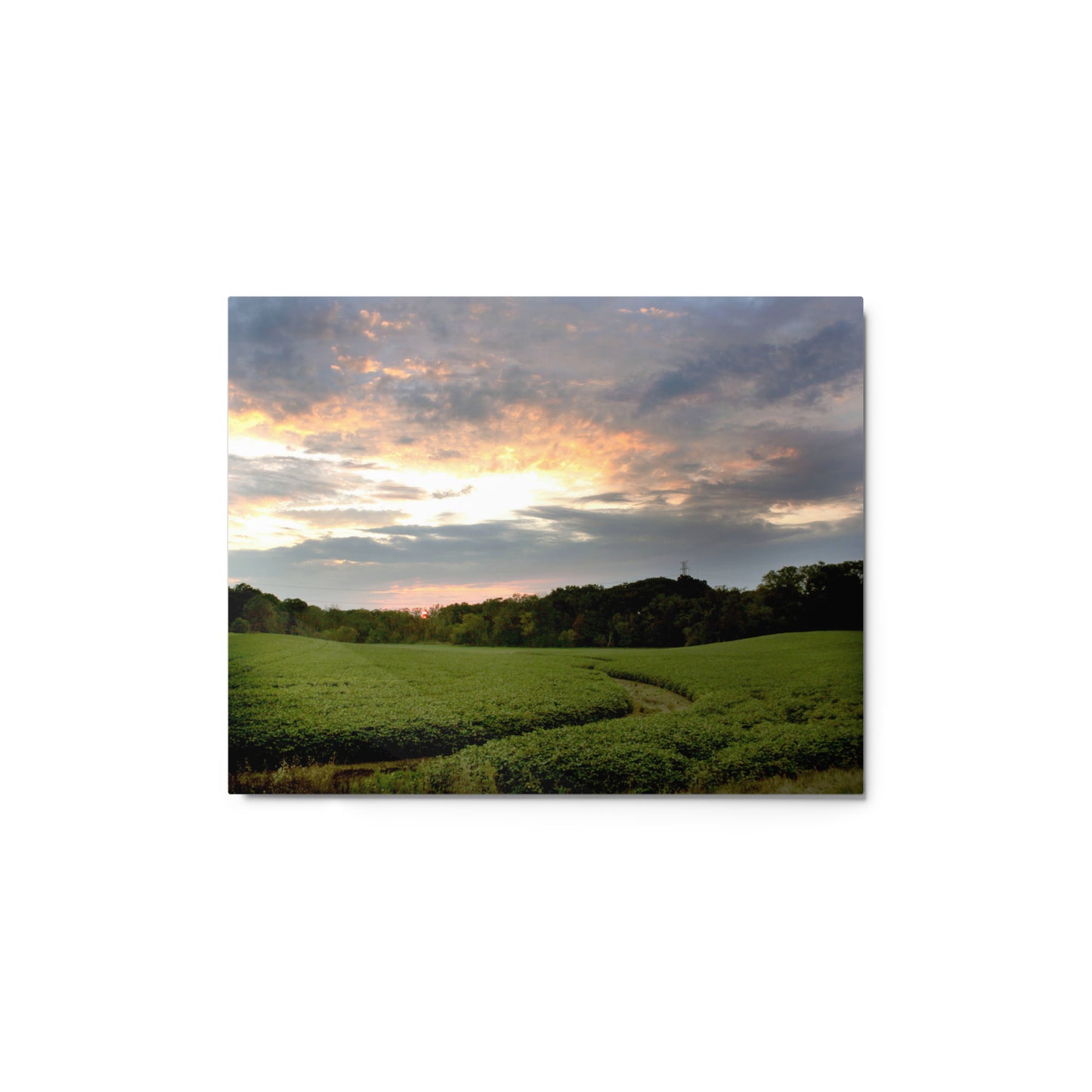 Midwest Sunset Aluminum Print