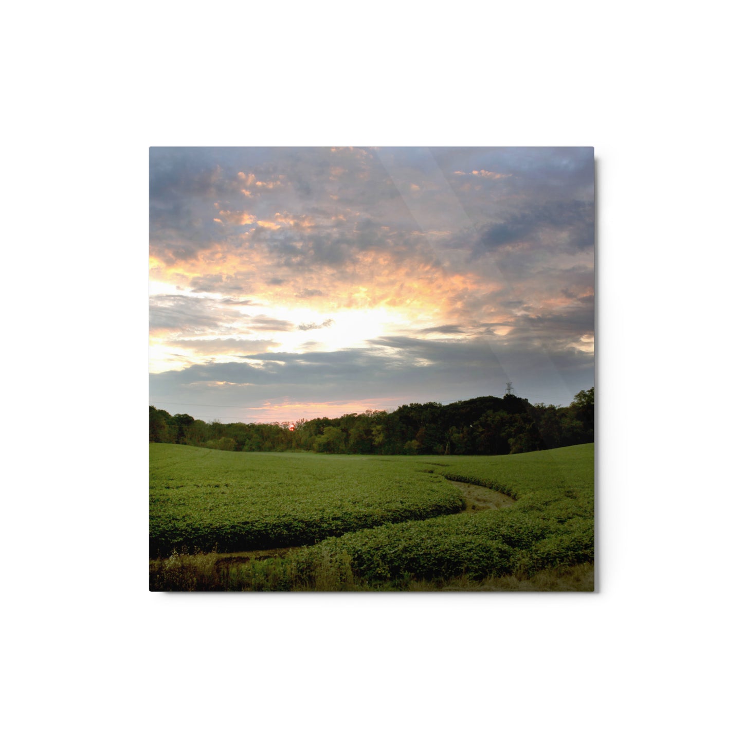 Midwest Sunset Aluminum Print