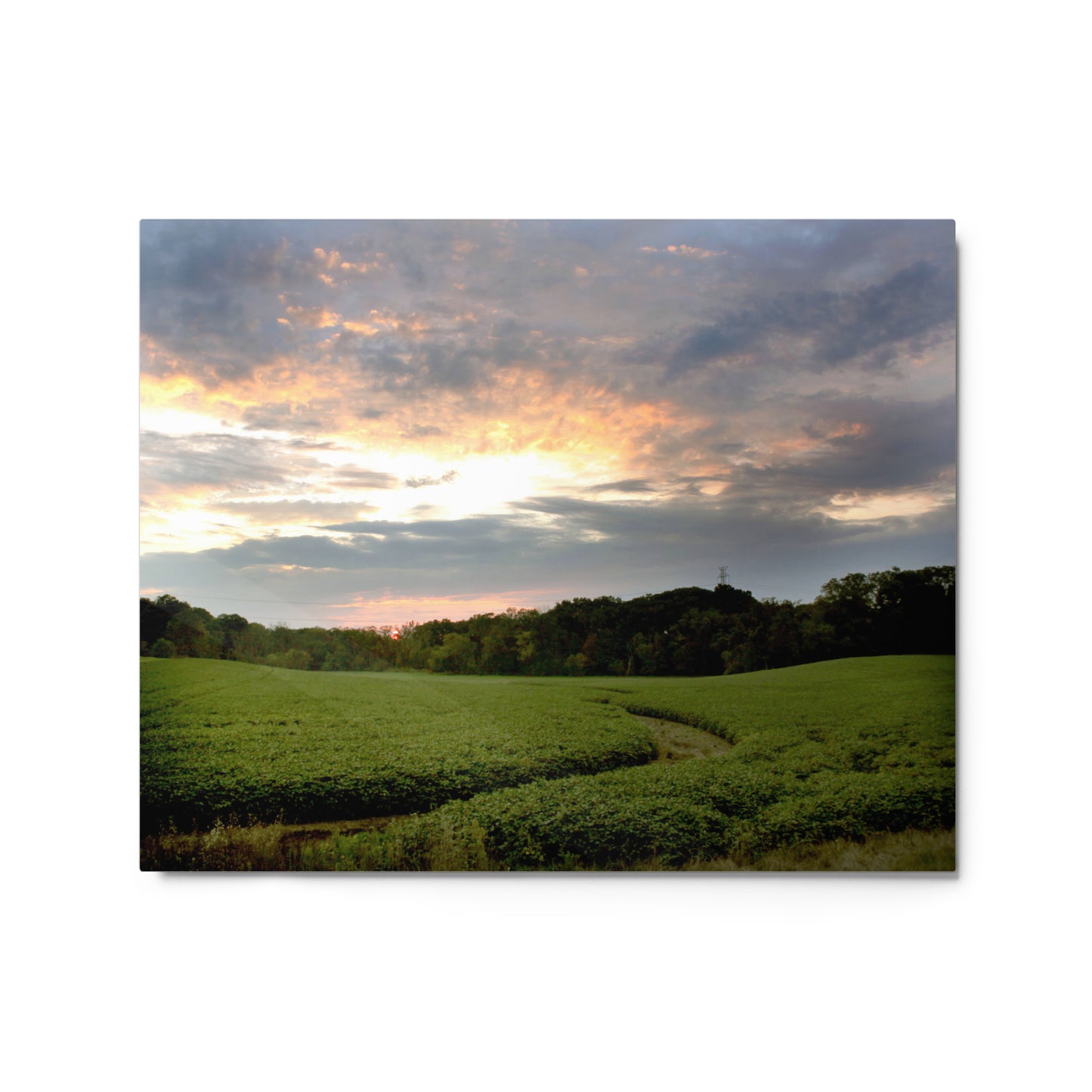 Midwest Sunset Aluminum Print