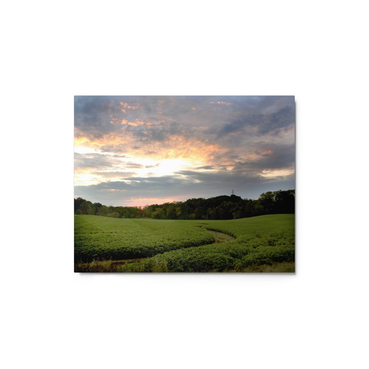 Midwest Sunset Aluminum Print