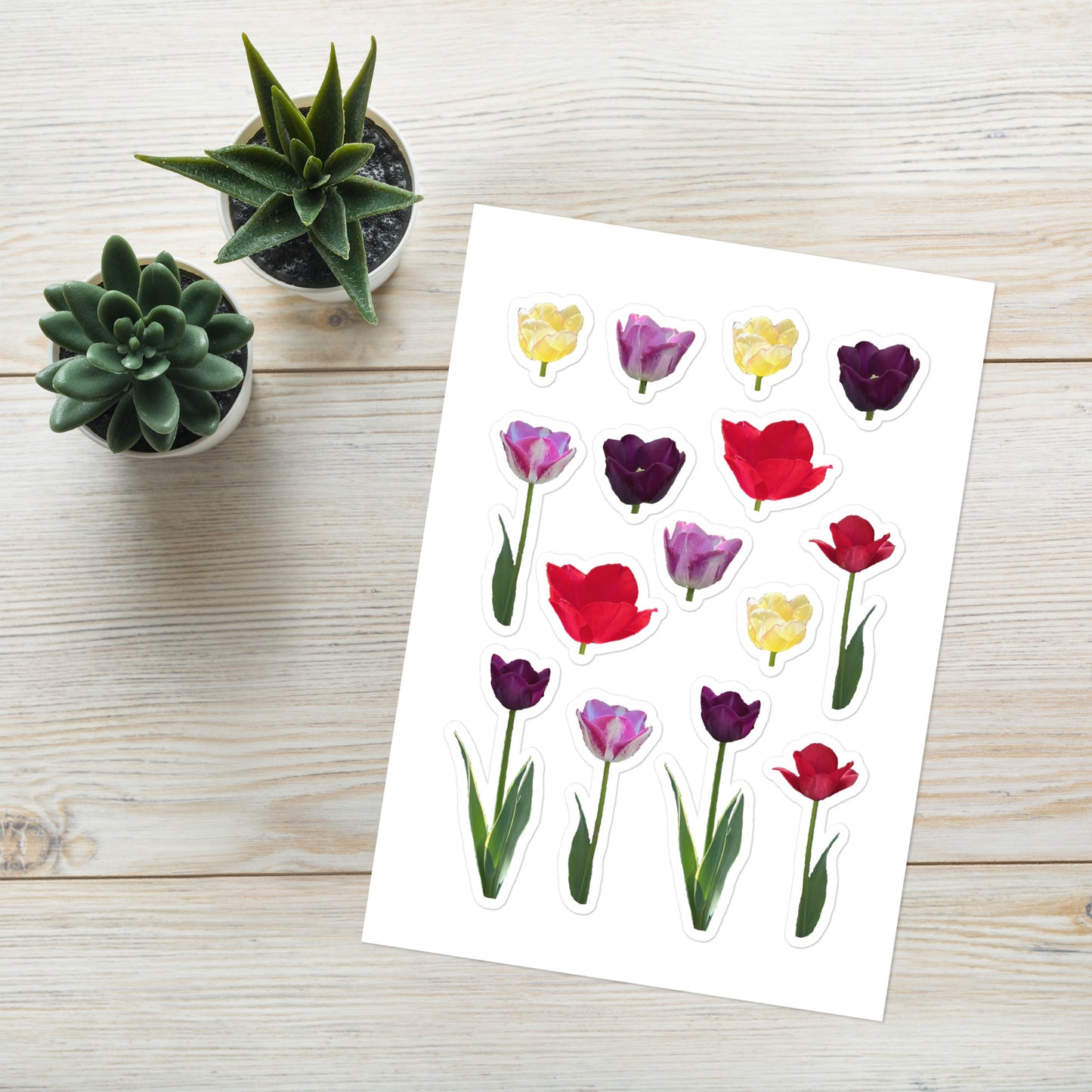Tulip Photography Sticker Sheet