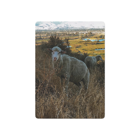 Grazing Sheep Playing Cards | Farm Animal Card Deck | Photography Cards