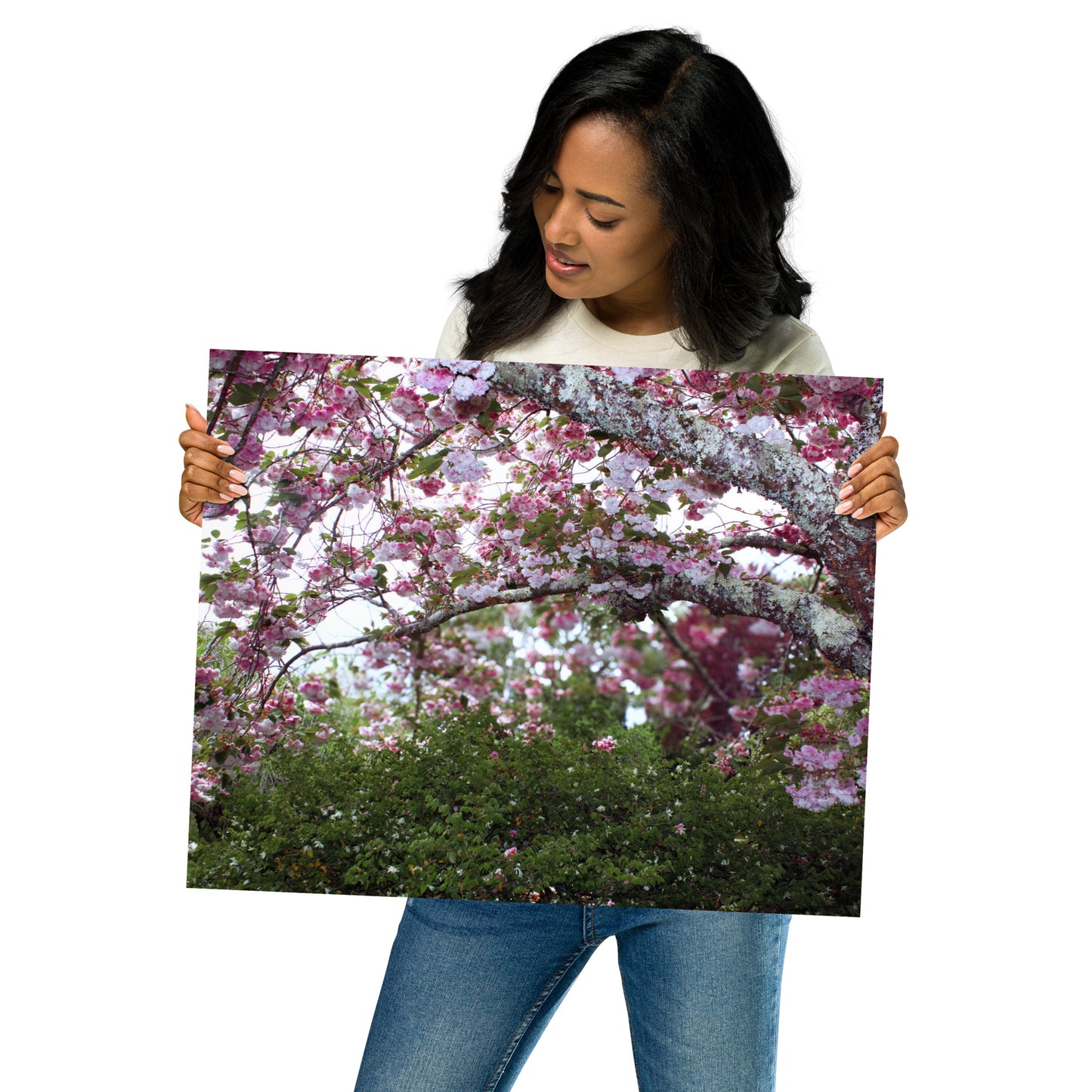 Japanese Cherry Matte Paper Poster