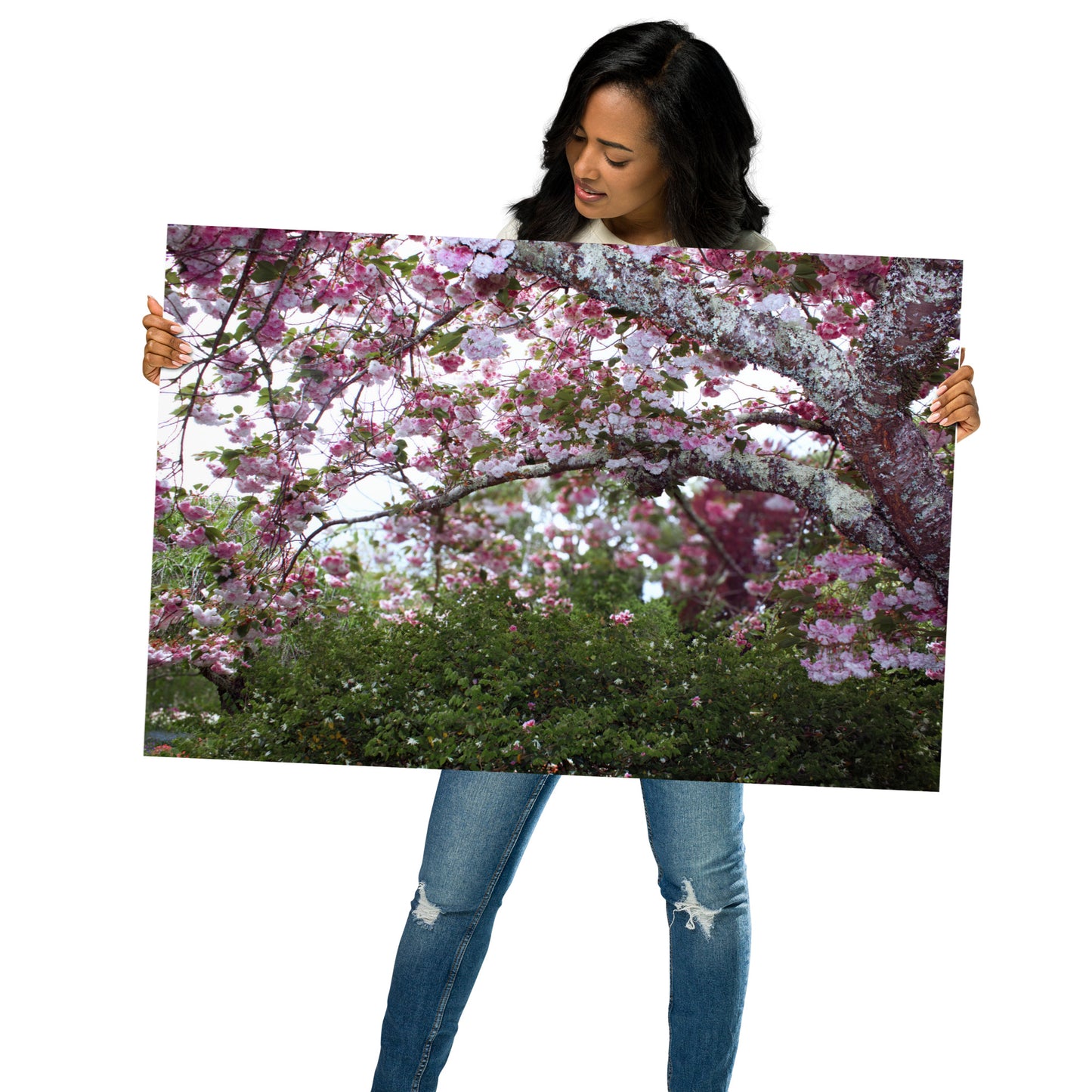 Japanese Cherry Matte Paper Poster