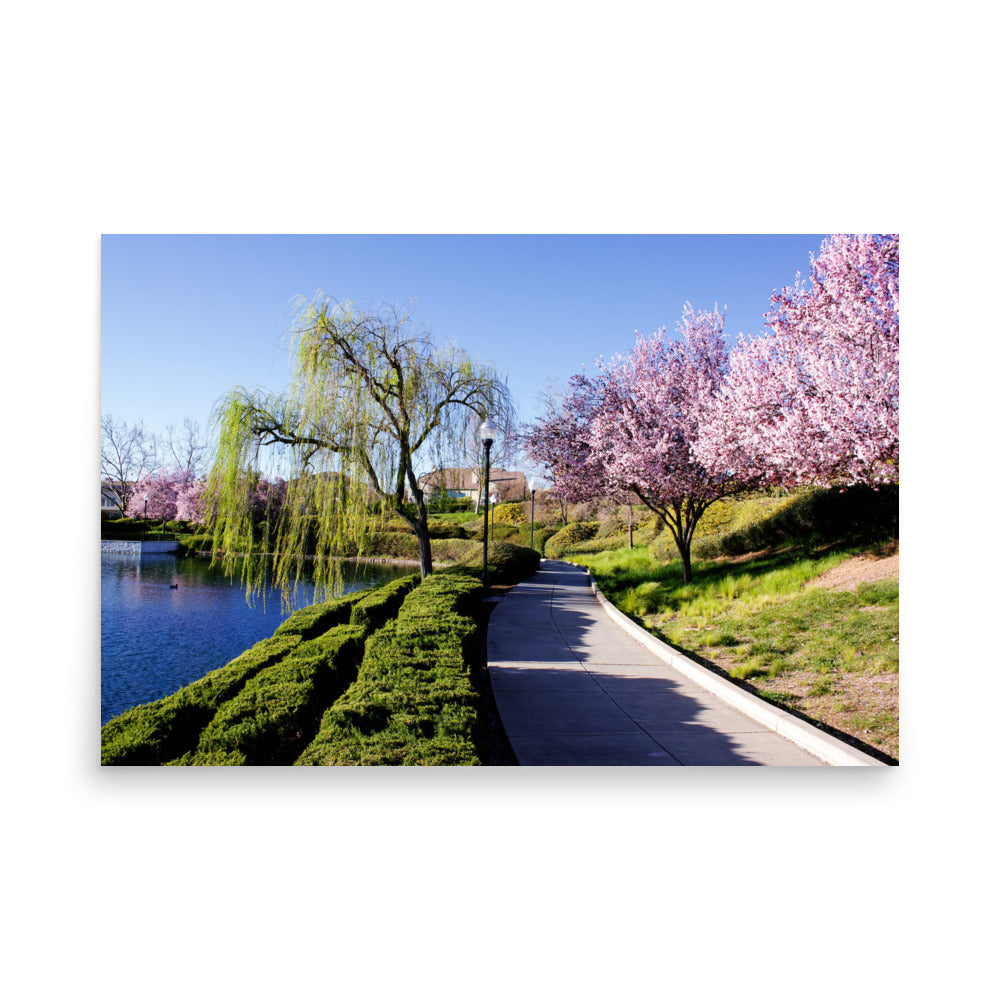 Blossoming Park Photography Poster