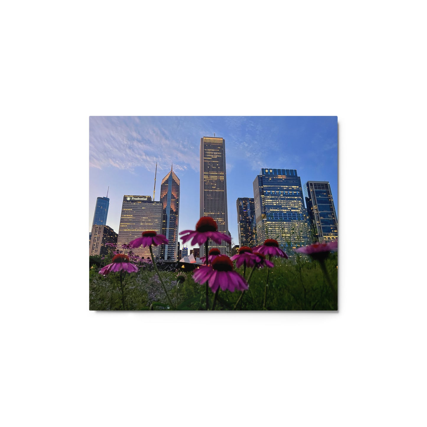 Chicago Skyline Photography Aluminum Metal prints | Chicago Flowers at Sunset