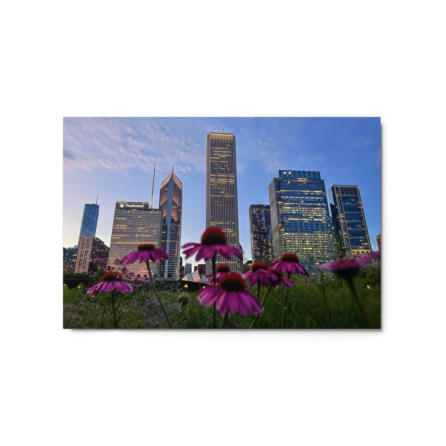 Chicago Skyline Photography Aluminum Metal prints | Chicago Flowers at Sunset