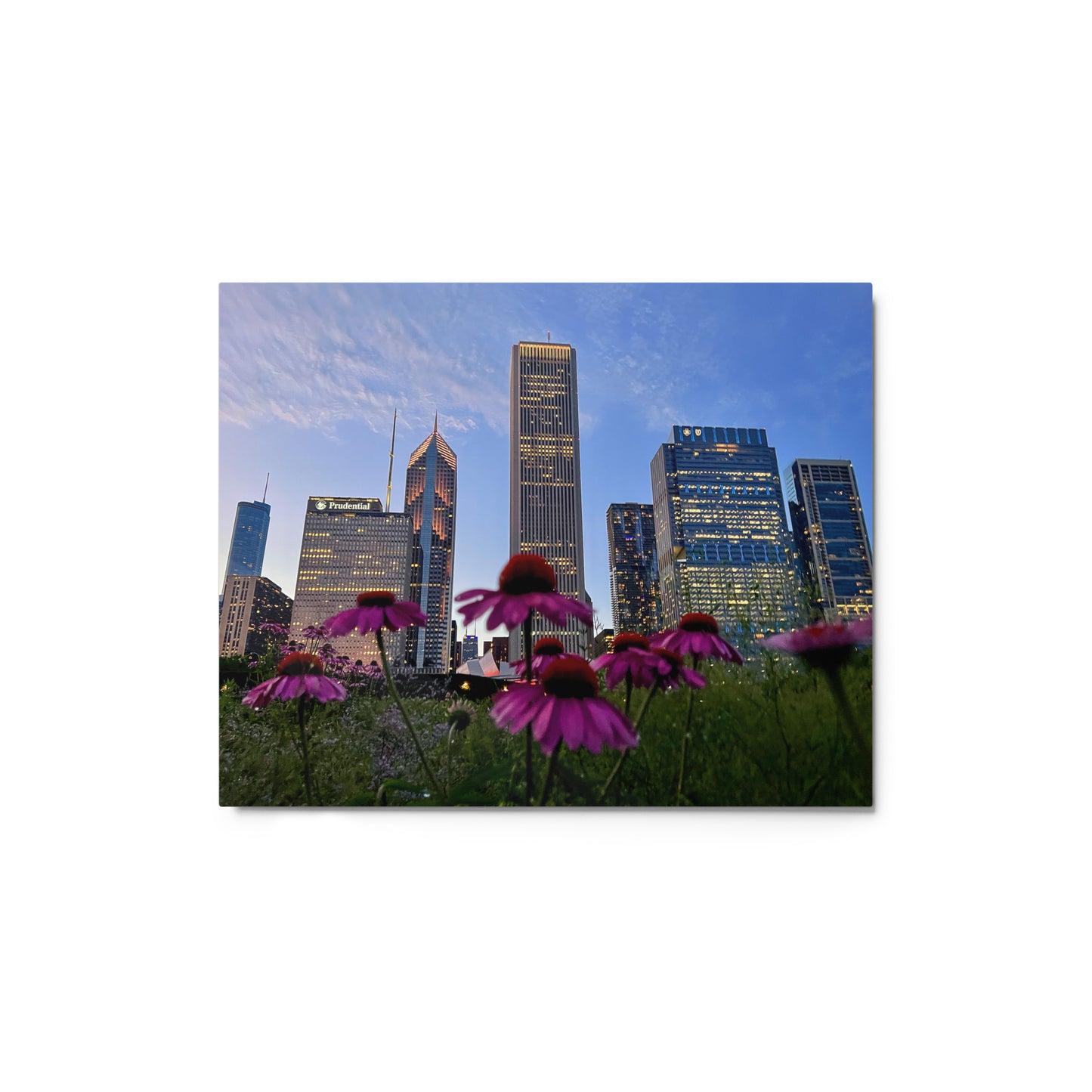 Chicago Skyline Photography Aluminum Metal prints | Chicago Flowers at Sunset